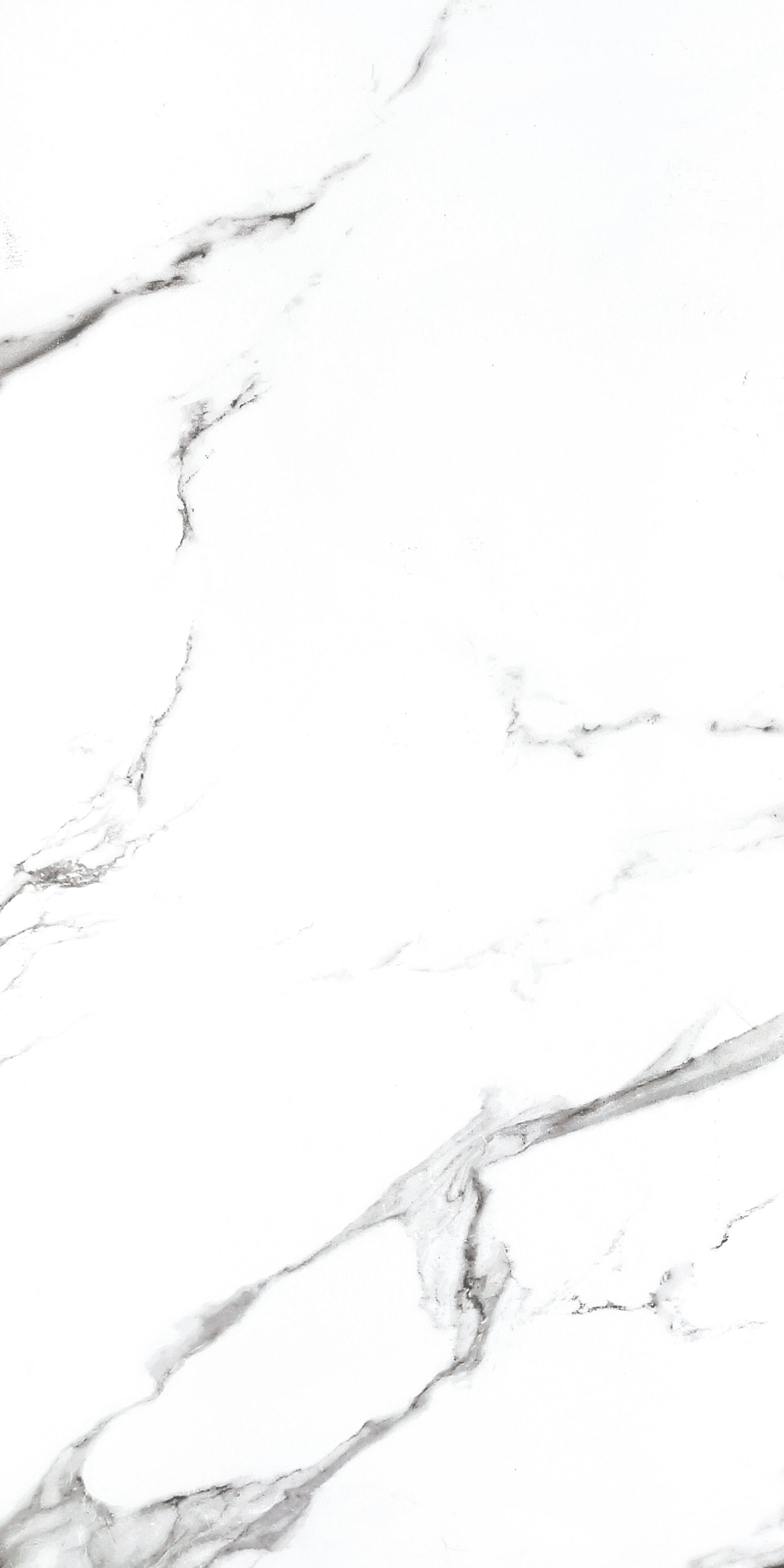 Statuario Tiles - White